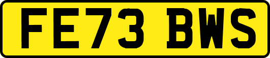 FE73BWS