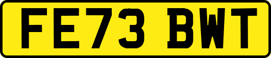 FE73BWT
