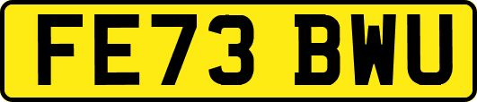 FE73BWU
