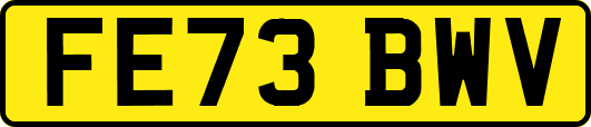 FE73BWV