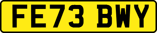 FE73BWY