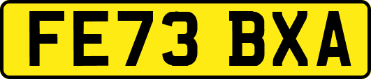 FE73BXA