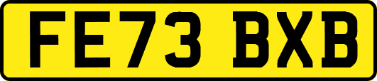 FE73BXB