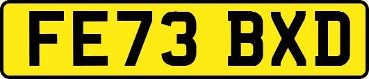 FE73BXD