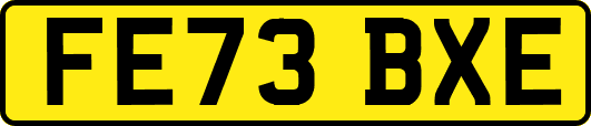 FE73BXE