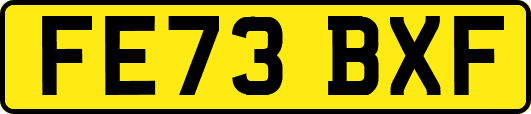 FE73BXF
