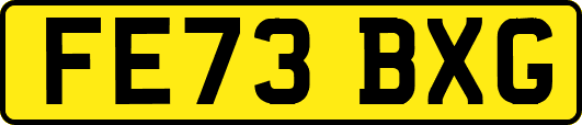 FE73BXG