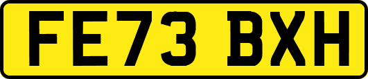 FE73BXH