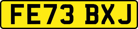 FE73BXJ