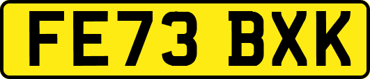 FE73BXK