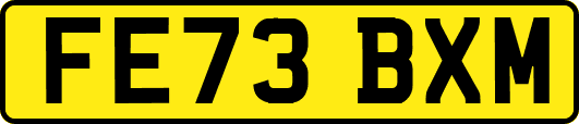 FE73BXM