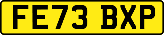 FE73BXP