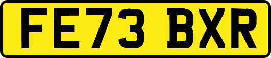 FE73BXR