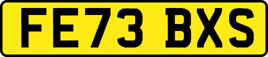 FE73BXS