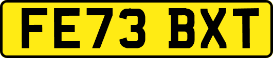 FE73BXT