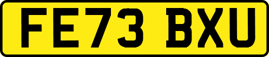 FE73BXU