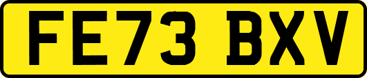 FE73BXV