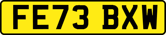 FE73BXW