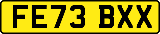 FE73BXX