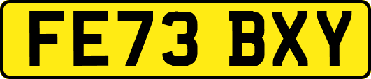FE73BXY