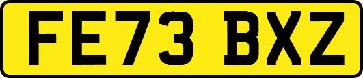 FE73BXZ