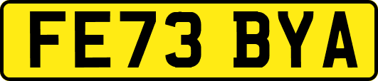 FE73BYA