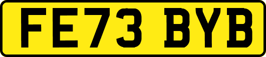 FE73BYB