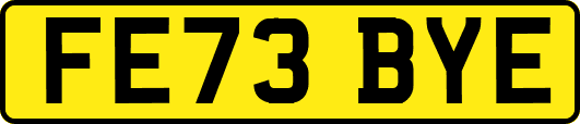 FE73BYE