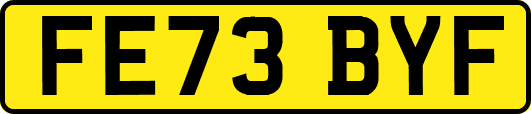 FE73BYF