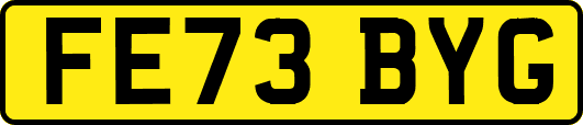 FE73BYG