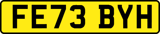 FE73BYH
