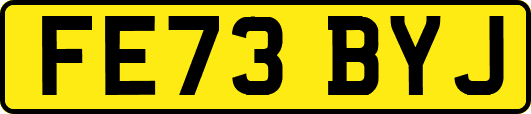 FE73BYJ