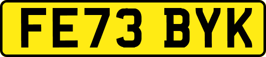 FE73BYK