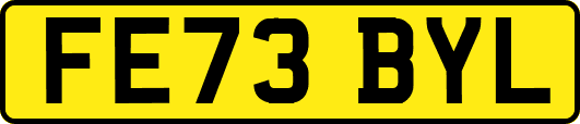 FE73BYL