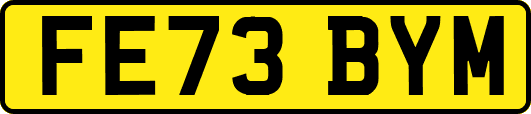 FE73BYM