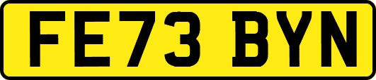 FE73BYN