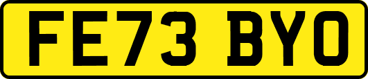 FE73BYO