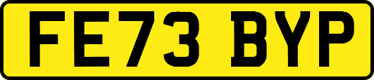 FE73BYP