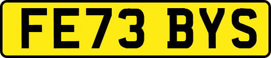 FE73BYS