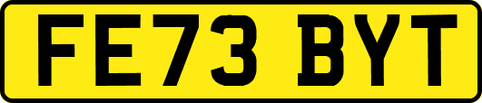 FE73BYT