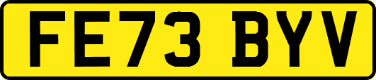 FE73BYV
