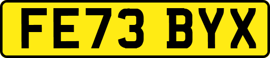 FE73BYX