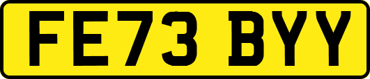 FE73BYY