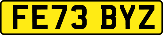 FE73BYZ