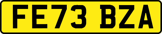FE73BZA