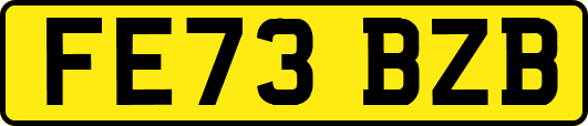 FE73BZB