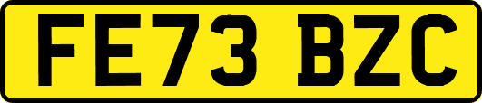 FE73BZC