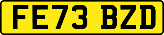 FE73BZD