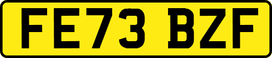 FE73BZF