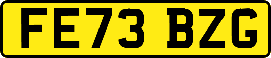 FE73BZG